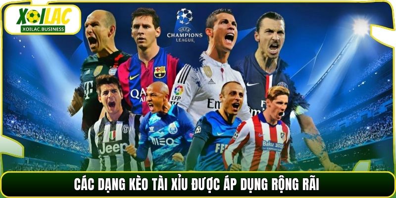 Các dạng kèo Tài Xỉu được áp dụng rộng rãi