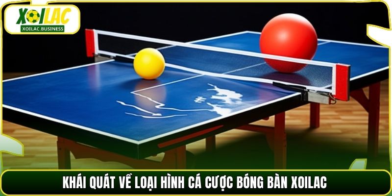 Khái quát về loại hình cá cược bóng bàn Xoilac