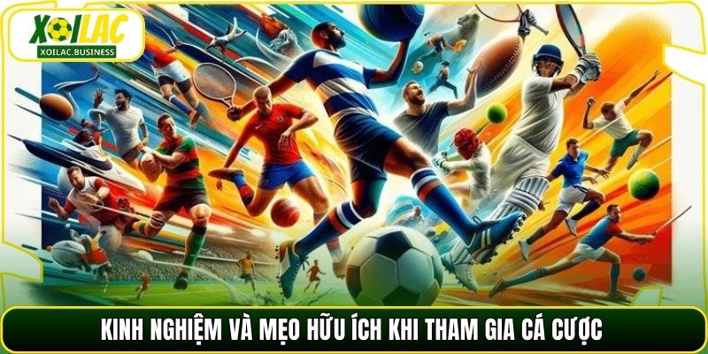 Kinh nghiệm và mẹo hữu ích khi tham gia cá cược