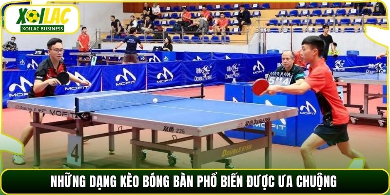Những dạng kèo bóng bàn phổ biến được ưa chuộng