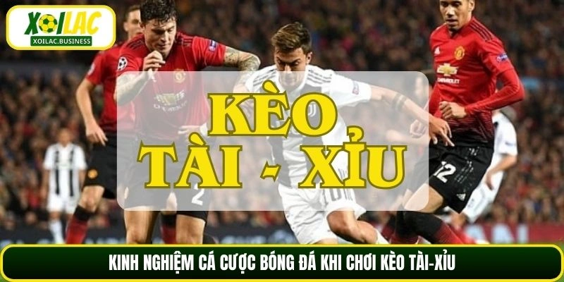 Kinh nghiệm cá cược bóng đá khi chơi kèo Tài-Xỉu
