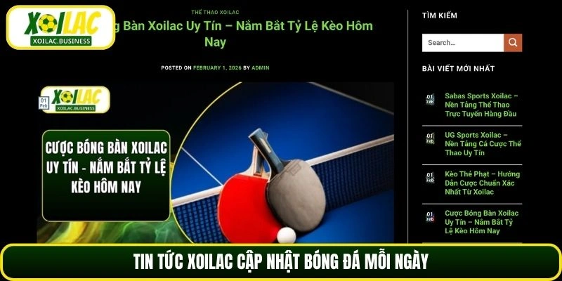 Tin tức Xoilac cập nhật bóng đá mỗi ngày